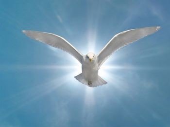 monicks-holy-spirit